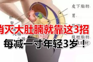 消滅大肚腩就靠這3招！每減一寸年輕3歲！