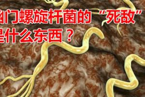 幽門螺旋桿菌的「死敵」是什麼東西？火