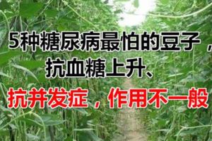 5種糖尿病最怕的豆子，抗血糖上升、抗並發症，作用不一般