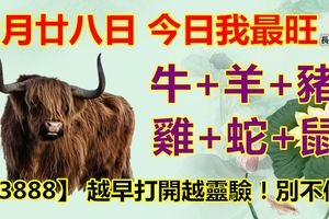 十月廿八日，今日我最旺！牛+羊+豬+雞+蛇+鼠！【23888】越早打開越靈驗！別不信！