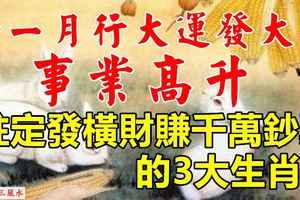 11月1.2.3號行大運發大財，事業高升，註定發橫財賺千萬鈔票3生肖！