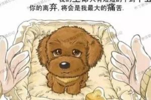 狗狗的一輩子，飼主都該看完