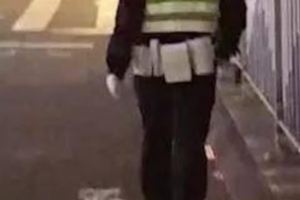 暖心！流浪狗夜裡向執勤交警求助，交警：「別怕，我帶你回家」