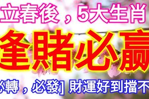 立春後，五大生肖，逢賭必贏『必轉，必發』財運好到擋不住