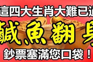 鹹魚大翻身！這四大生肖大難已過，鈔票塞滿您口袋！【88秒內打開大獎入手！】