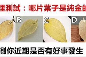 心理測驗：哪片葉子是純金的？測最近你有什麼好事來臨！