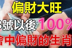 8月偏財大旺，3號以後100%會中偏財的生肖！