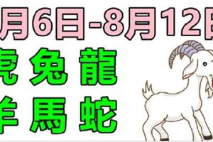 12生肖一周運勢（8月6日—8月12日）