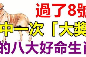 過了8月8號，這8大好命生肖，必有天降橫財，中一次「大獎」！