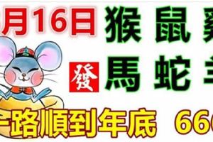 8月16日生肖運勢_猴、鼠、雞大吉