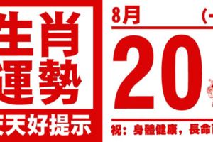 12生肖天天生肖運勢解析（8月20日）