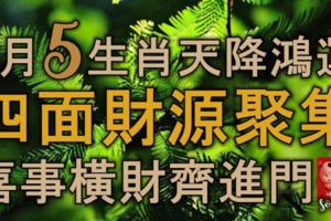 9月份，5生肖天降鴻運，四面財源聚集，喜事橫財齊進門，萬事大吉！