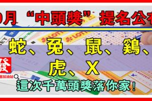 9月「中頭獎」提名公佈：生肖蛇、兔、鼠、雞、虎、X，這次千萬頭獎落你家！