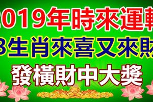 2019年時來運轉，3生肖來喜又來財，發橫財中大獎