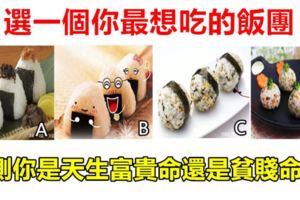 心理測試：選一個你最想吃的飯團，測你是天生富貴命還是貧賤命！