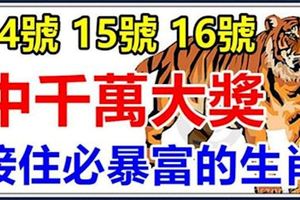 10月14號15號16號3天內，4大生肖有望中一次千萬大獎，接住必一夜暴富