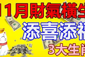 11月財氣橫生、添喜添福的3大生肖