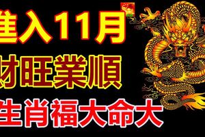 3生肖福大命大，進入11月，財旺業順