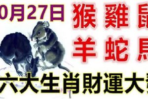 10月27日生肖運勢_猴、雞、鼠大吉