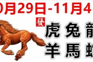 12生肖一周運勢（10月29日—11月4日）