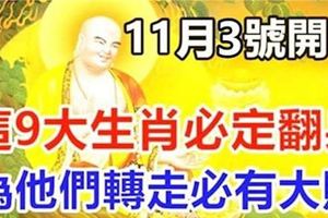 11月3號開始，這9大生肖必定翻身