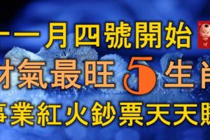 十一月四號開始，財氣最旺的5生肖，事業紅火，鈔票天天賺！