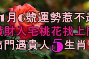 11月6號運勢惹不起，橫財入宅，桃花找上門，出門遇貴人的5大生肖！