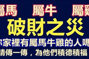 你家裡有屬馬牛雞的人嗎？他們11月份，難逃破財之災