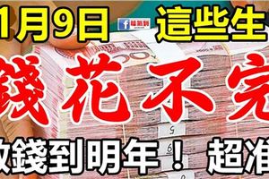 11月9日，這些生肖翻身大轉運，數錢到年尾，錢註定花不完