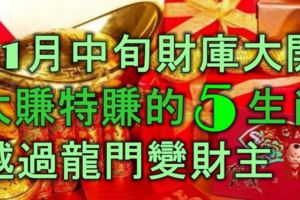 11月中旬財庫大開，大賺特賺的5生肖，越過龍門變財主！