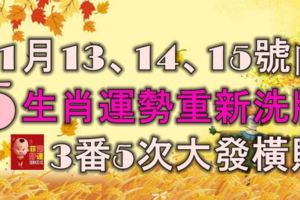 11月13、14、15號內，5生肖屆時運勢重新洗牌，3番5次大發橫財！