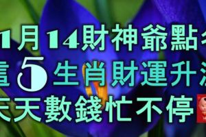 11月14財神爺點名，這5大生肖財運升溫，天天數錢忙不停！