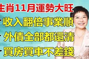 11月福星高照的5生肖，運勢大紅大紫，收入漲事業順，買房買車不差錢！