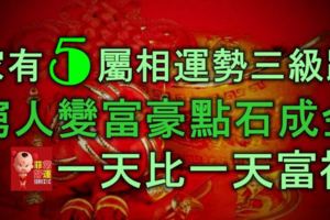 家有5屬相，運勢三級跳，窮人變富豪，點石成金，一天比一天富裕！