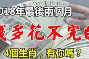 2018年最後兩個月，身價暴漲的4個生肖，天天數錢到年底！