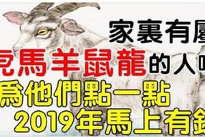 家裡有這五大生肖，2019年馬上有錢！