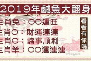 2019年鹹魚大翻身，運程最「旺」的6大生肖，有你嗎？