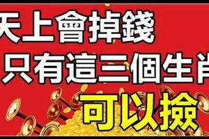 12月天上會掉錢滴，不過只有這三個生肖可以撿！