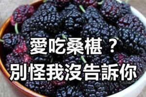 愛吃桑椹？別怪我沒告訴你，看了絕對會嚇一跳