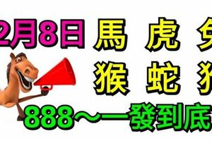 12月8日生肖運勢_馬、虎、兔大吉