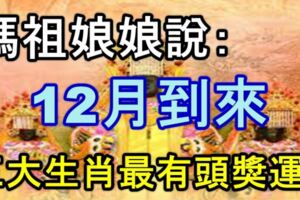 12月到來，媽祖娘娘說：五大生肖最有中頭獎運！