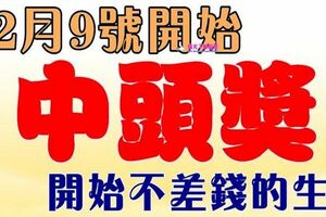 12月9號開始，開始不差錢的生肖，有望中頭獎