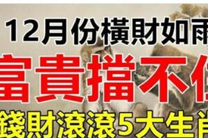 12月份橫財如雨，富貴擋不住的5大生肖。