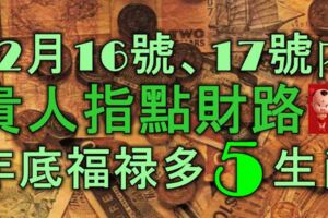 12月16號、17號內，貴人指點財路，年底福祿多多的5大生肖！