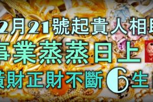 12月21號開始，貴人相助，事業蒸蒸日上，橫財正財不斷的6大生肖！