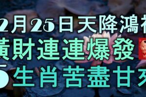 12月25日起，天降鴻福，橫財連連爆發，5大生肖苦盡甘來，富貴雙全！