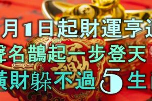 1月1日起財運亨通，聲名鵲起一步登天，橫財躲不過的5大生肖！