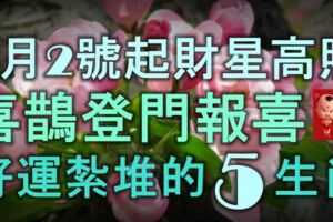 1月2號起財星高照，喜鵲登門報喜，好運紮堆的5大生肖！