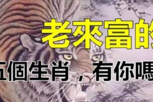 老來富的5個生肖，30歲行大運，50歲晚來福