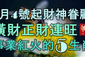 1月4號開始，財神眷顧，橫財正財連旺，事業紅火的5大生肖！